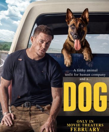 Köpek 1080p Türkçe Dublaj & Altyazılı İndir – Dual